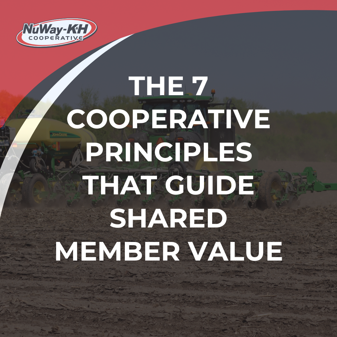 The 7 Cooperative Principles That Guide Shared Member Value | NuWay-K&H ...